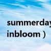 summerdaysinbloom歌词（summerdaysinbloom）