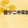 普宁二中实验学校高中部（普宁二中实验）