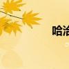 哈洽会吉祥物（哈洽会）