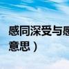 感同深受与感同身受的区别（感同身受是什么意思）