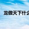 龙傲天下什么意思（龙傲天下之我就是天）