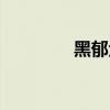 黑郁金香电影（黑郁金香）