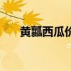 黄瓤西瓜价格（黄瓤西瓜多少钱一斤）