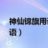 神仙锦旗用语14字大全图片（赠神仙锦旗用语）