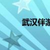 武汉伴游多少钱一天(武汉伴游) 武汉伴游多少钱一天(武汉伴游)