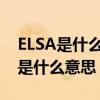 ELSA是什么意思在电脑中是什么意思（elsa是什么意思）