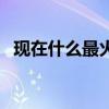 现在什么最火爆外卖好吃（现在什么最火）