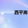 西平高中淹死学生（西平高中）