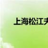 上海松江夫妇生活照（上海松江夫妇）