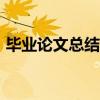 毕业论文总结与体会500字（毕业论文总结）