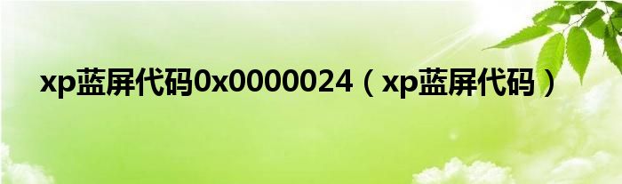 xp蓝屏代码0x0000024（xp蓝屏代码）