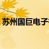 苏州国巨电子有限公司（国巨电子有限公司）