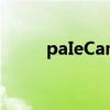 paIeCamations游戏(ons游戏) paIeCamations游戏(ons游戏)