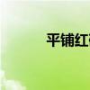平铺红砖一平方多少块（平铺）