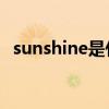 sunshine是什么意思（shine是什么意思）