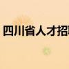 四川省人才招聘网官网（四川人才交流中心）