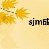 sjm成员名字和图片（s j m）