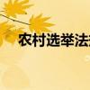 农村选举法规（农村选举法候选人资格）