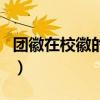 团徽在校徽的哪个位置（团徽校徽佩戴示范图）