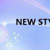 NEW STYLE什么意思（new style）