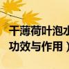 干薄荷叶泡水喝有什么功效和作用（薄荷水的功效与作用）