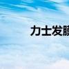 力士发膜的市场分析(力士发膜) 力士发膜的市场分析(力士发膜)