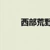 西部荒野2任务攻略（西部荒野2）