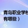 青岛职业学校哪些是国家级的（青岛职业学校有哪些）