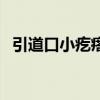 引道口小疙瘩有点痒（引道口小疙瘩图片）
