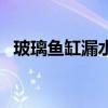 玻璃鱼缸漏水用什么胶粘最好（玻璃鱼缸）