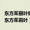 东方茱丽叶林濑穗母亲为什么不认识自己了（东方茱莉叶）