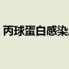 丙球蛋白感染风险大吗（丙球蛋白感染事件）