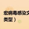 宏病毒感染文件类型是什么（宏病毒感染文件类型）