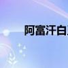 阿富汗白玉是什么玉（阿富汗白玉）
