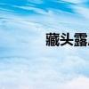藏头露尾诗在线（藏头露尾诗）