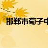邯郸市荀子中学鸟瞰图（邯郸市荀子中学）