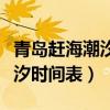 青岛赶海潮汐时间表2023年2月（青岛赶海潮汐时间表）