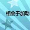 相会于加勒比海吐槽（相会于加勒比海）