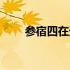 参宿四在天空中什么位置（参宿四）