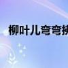 柳叶儿弯弯拂水花儿转是什么歌（柳叶儿）