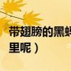 带翅膀的黑蚂蚁怎么消灭（飞蚁怎么出现在家里呢）