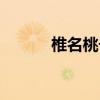 椎名桃子个人简介（椎名桃子）