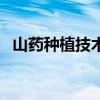 山药种植技术与栽培管理（山药种植技术）