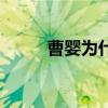 曹婴为什么叫里面暖神将（曹婴）