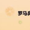 罗马鼻是什么意思（罗马鼻）
