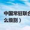 中国常驻联合国副大使是什么级别（大使是什么级别）