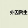 外因赘生物是什么（赘生物是什么）
