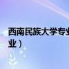 西南民族大学专业排名最好的专业有哪些（西南民族大学专业）