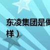 东凌集团是做什么的（东凌经济管理学院怎么样）