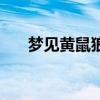 梦见黄鼠狼进家门（梦见黄鼠狼进家）